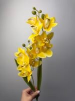 Орхідея цимбідіум жовта