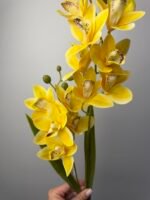 Орхідея цимбідіум жовта - Зображення 2