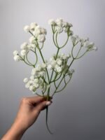 Гіпсофіла класична біла - Зображення 2