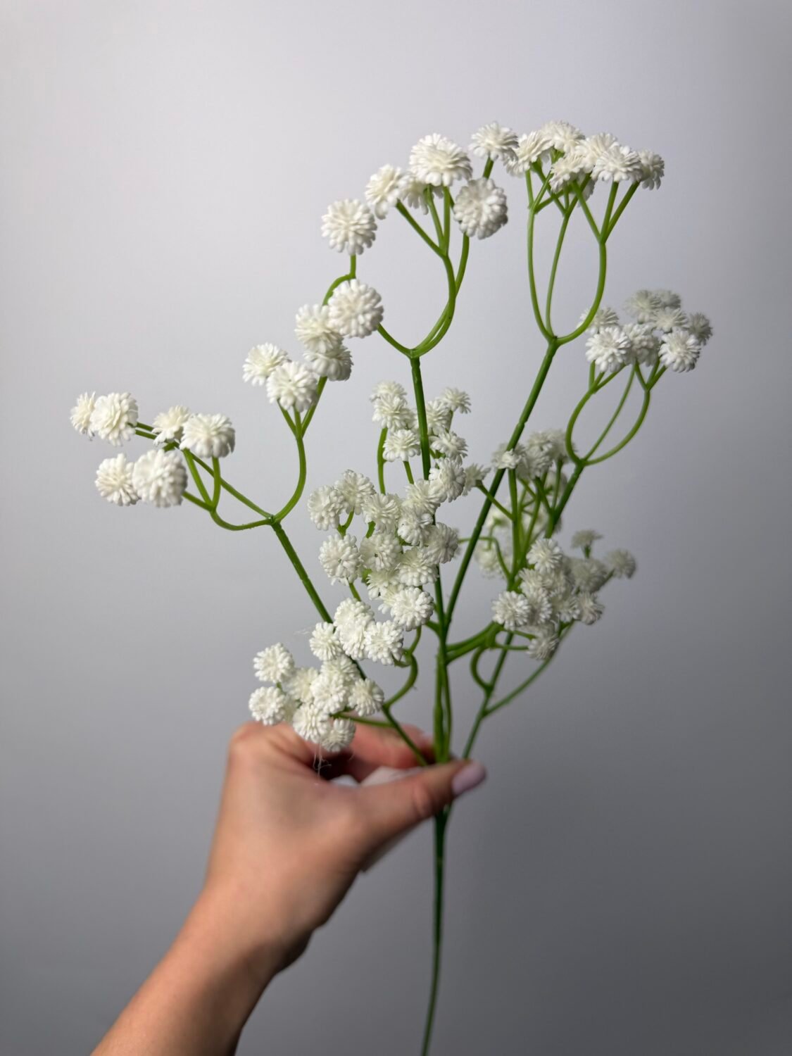 img_0853 Гіпсофіла класична біла - Зображення 1