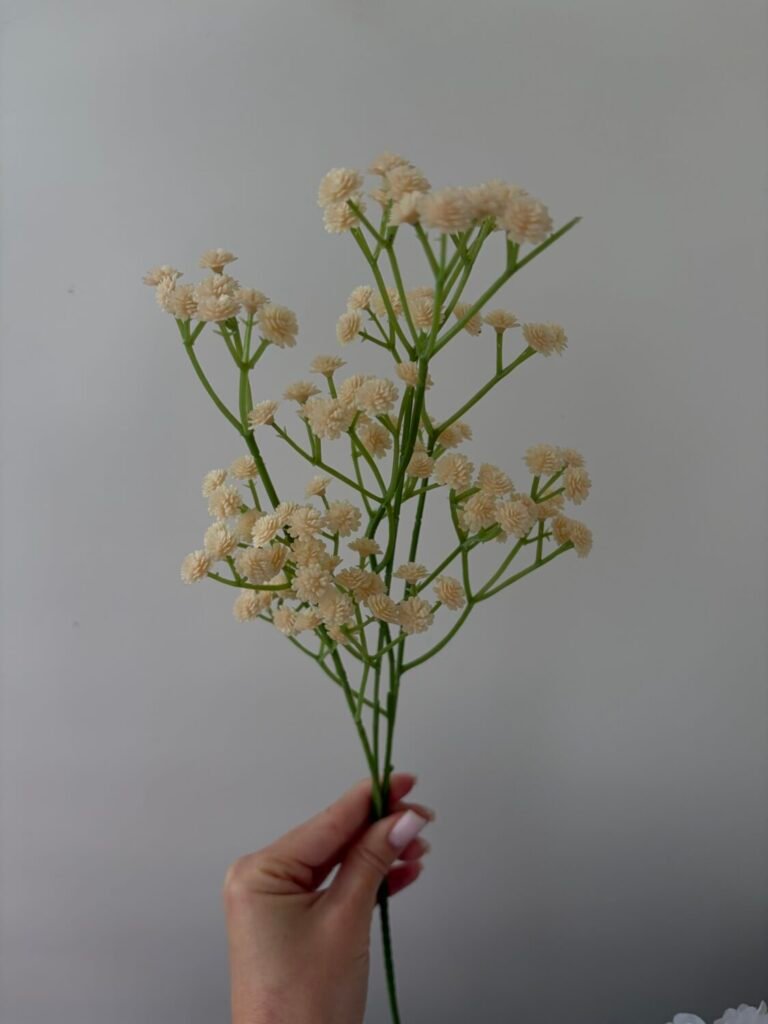 Головна img 2196