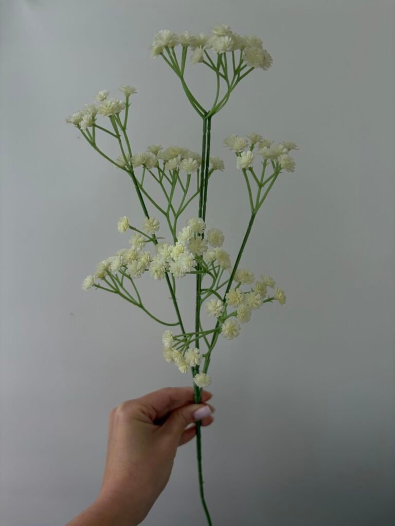 Головна img 2199