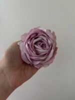 Троянда VIP відкрита лавандова