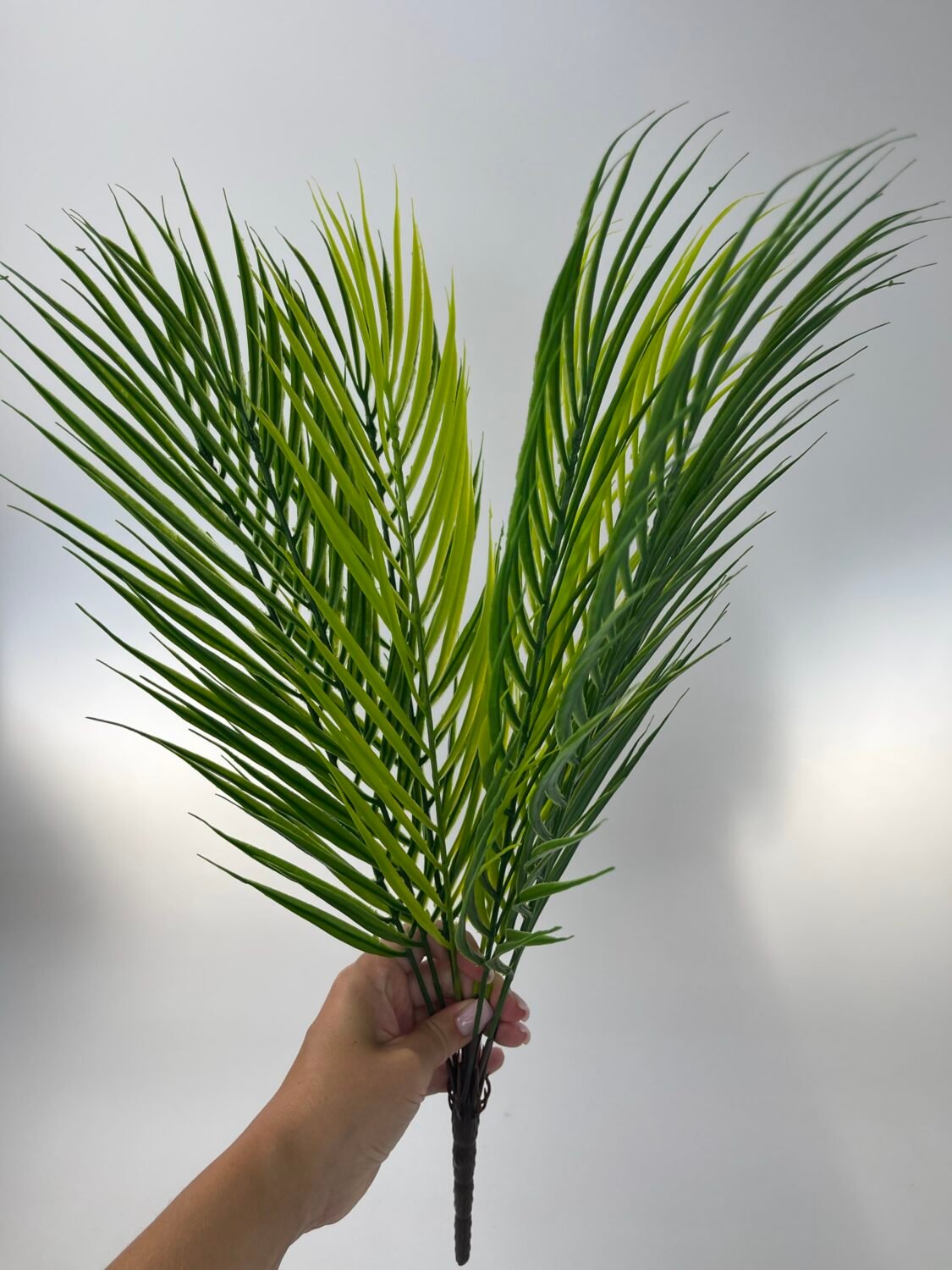 img_5711 Пальма в букеті - Зображення 1