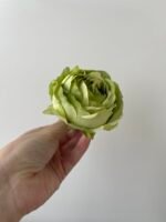 троянда VIP відкрита зелена - Зображення 2