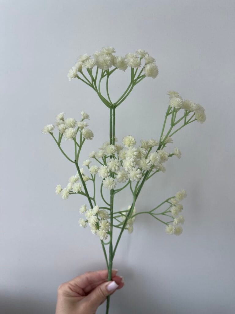 Головна img 8372