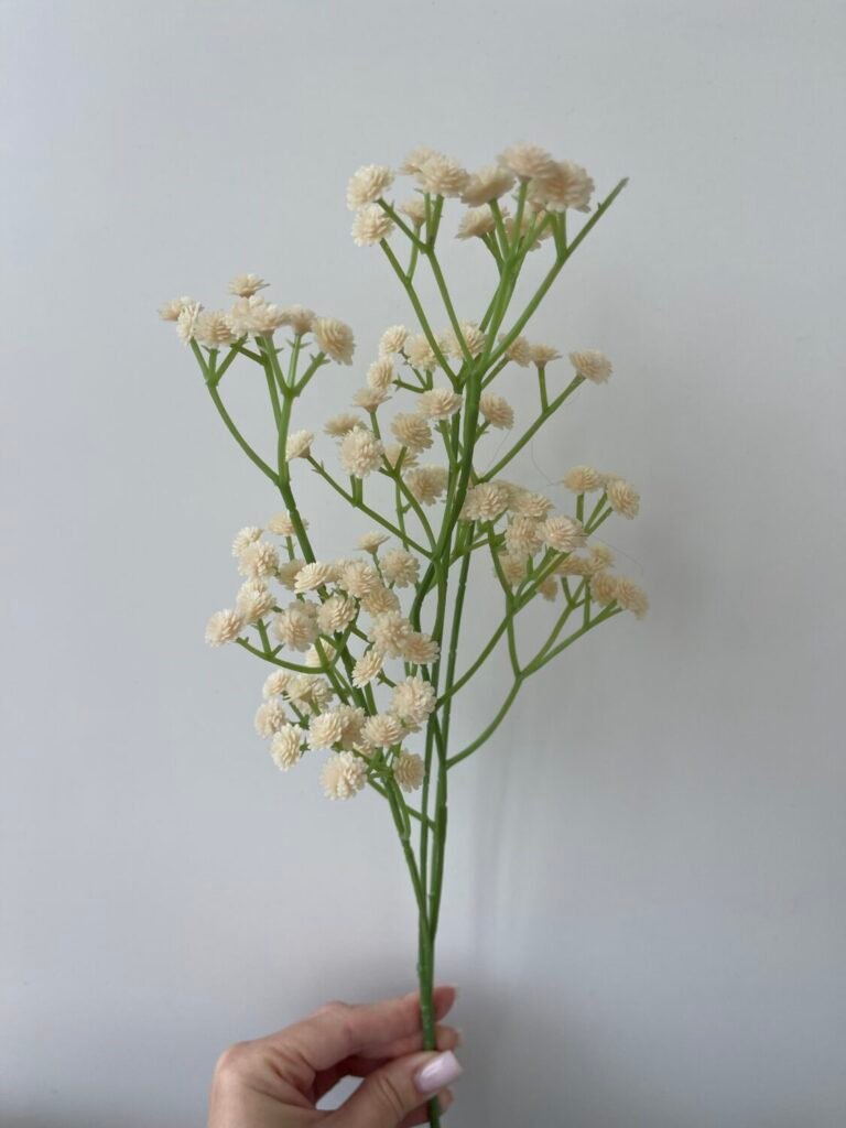 Головна img 8374