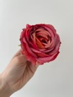 троянда VIP відкрита червона