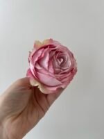 Троянда VIP відкрита рожева - Зображення 2