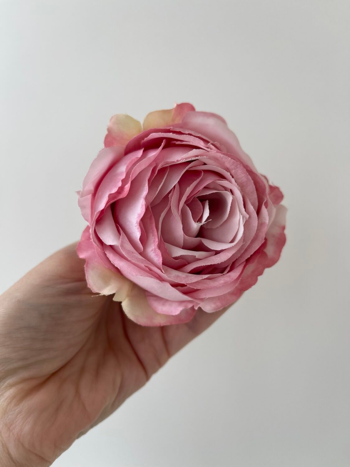 img_8395-2 Троянда VIP відкрита рожева - Зображення 1