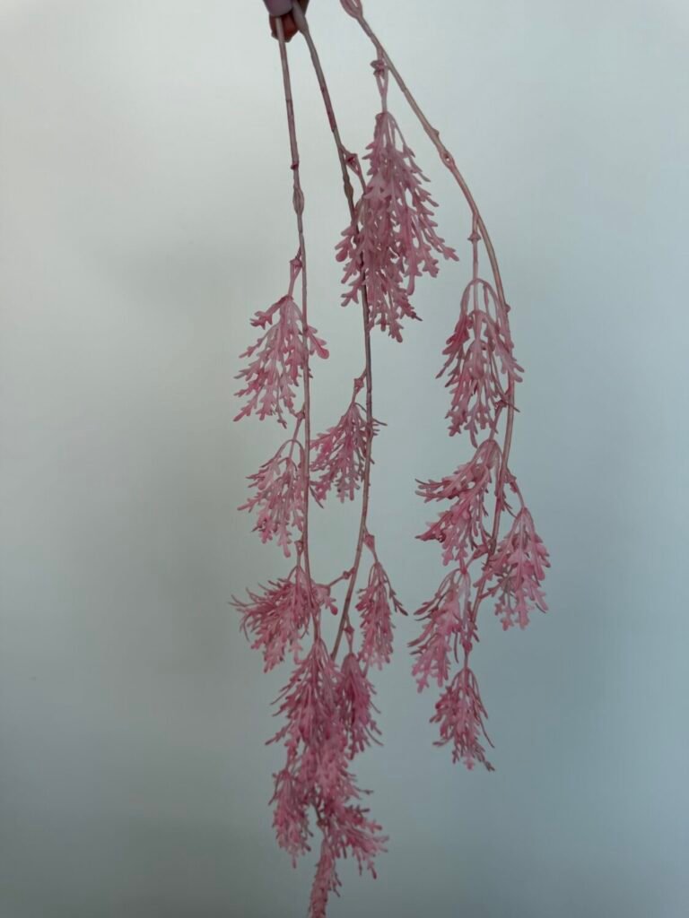 Головна img 8566 1