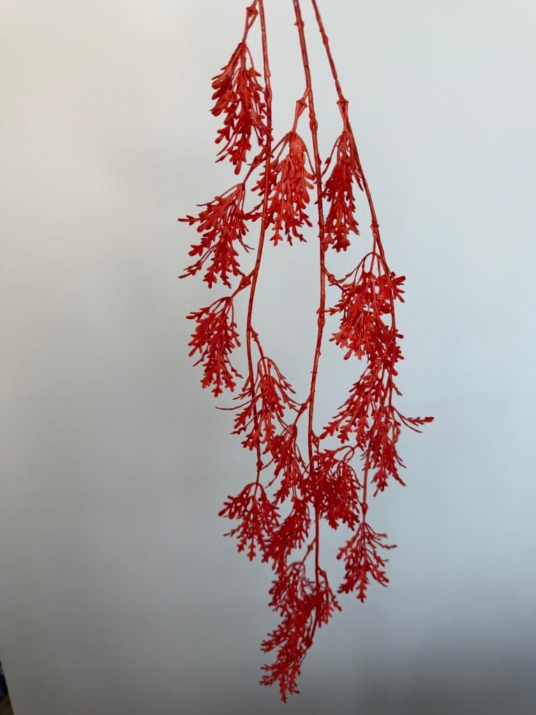 Головна img 8570