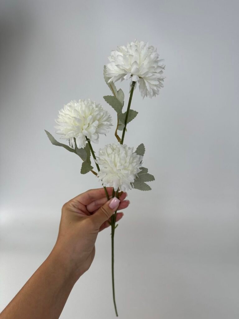 Головна img 9298