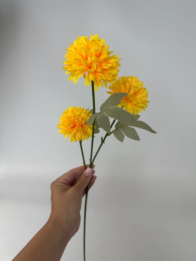 Головна img 9299