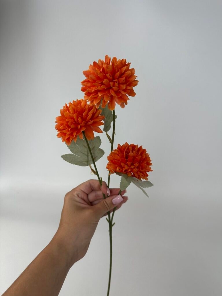 Головна img 9300