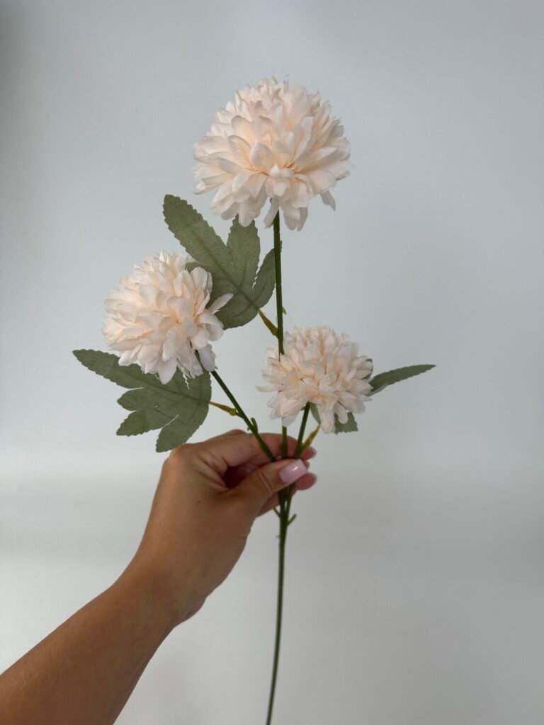 Головна img 9303