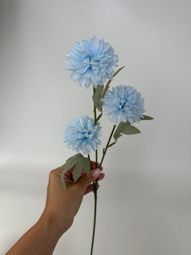 Головна img 9304