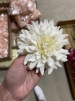 Далія молочна - Зображення 2