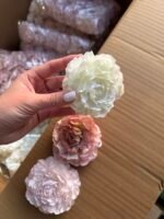 Півонія айворі - Зображення 3