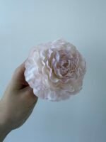 Півонія ніжно рожева - Зображення 2