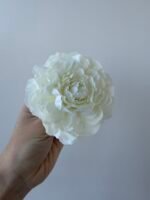 Півонія айворі