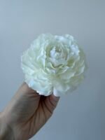 Півонія айворі - Зображення 2