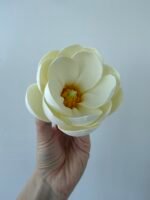 Голівка магнолії молочна