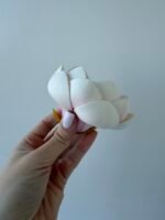 Голівка магнолії ніжно рожева - Зображення 2