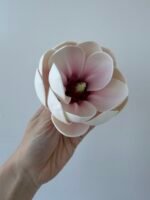 Голівка магнолії ніжно рожева