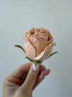 Троянда бутон беж запаяними кінчиками