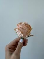 Троянда бутон беж запаяними кінчиками - Зображення 2