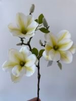 Магнолія латекс преміум біла