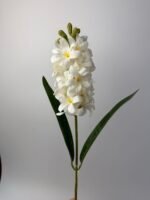 Гіацинт латексний білий