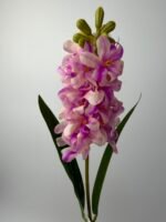 Гіацинт латексний масляно-фіолетовий - Зображення 2