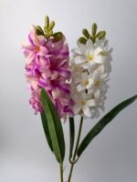 Гіацинт латексний масляно-фіолетовий - Зображення 3