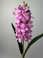 Гіацинт латексний рожевий - Зображення 2