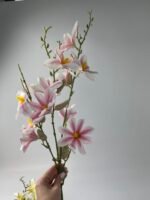 Магнолія преміум латекс ніжно рожева