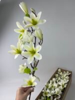 Магнолія біла латексна з бутонами - Зображення 2