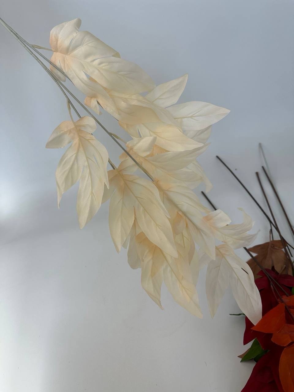 img_6549 Гілка листя масляна - Зображення 1