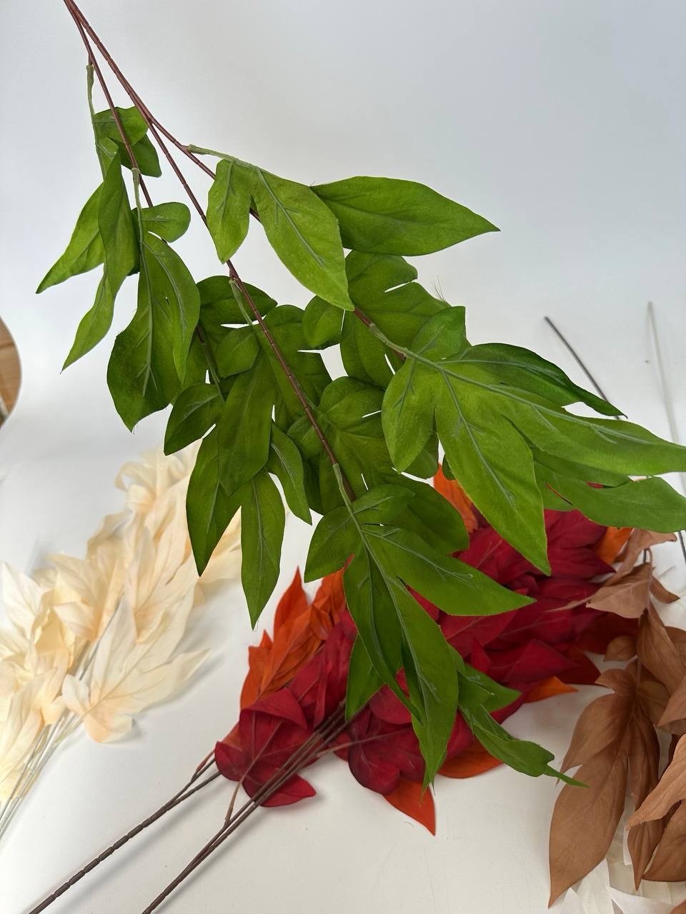 img_6552 Гілка листя зелена - Зображення 1