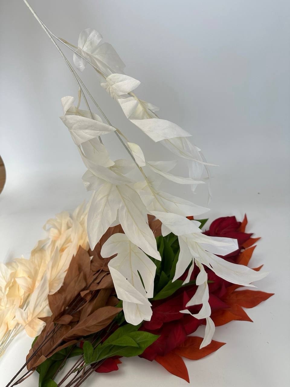 img_6554 Гілка листя білий - Зображення 1