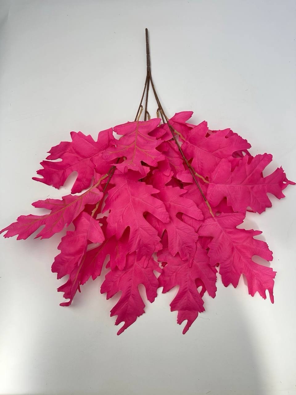 img_6571 Букет листя малиновий - Зображення 1