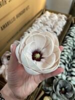 Голівка магнолії пудра - Зображення 3