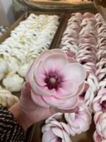 Голівка магнолії ніжно рожева - Зображення 3