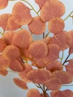 Популюс світло помаранчевий - Зображення 2