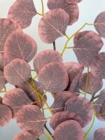 Популюс бордо - Зображення 2