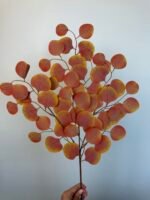 Популюс помаранчевий