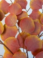 Популюс помаранчевий - Зображення 2