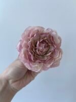 Півонія пудра