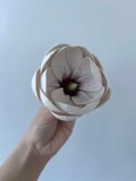 Голівка магнолії пудра